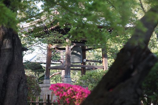 豪徳寺さん