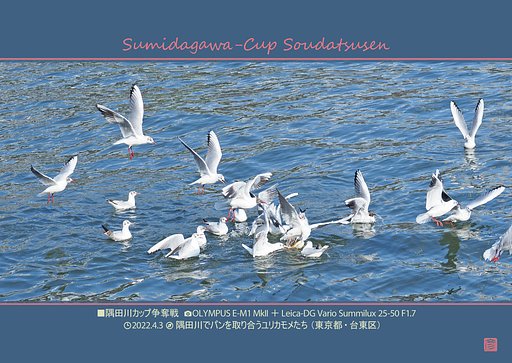 隅田川カップ争奪戦