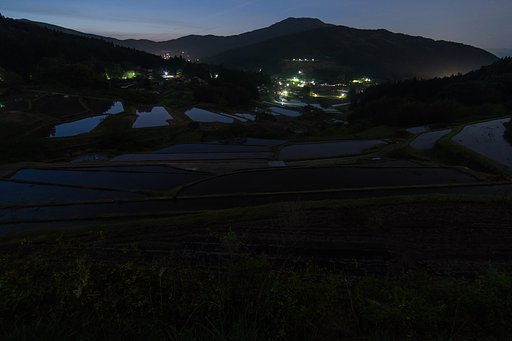 朝を待つ