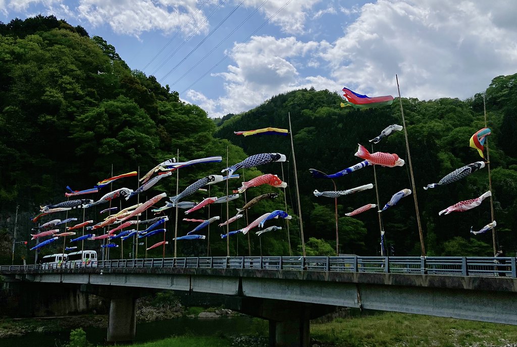鯉のぼり