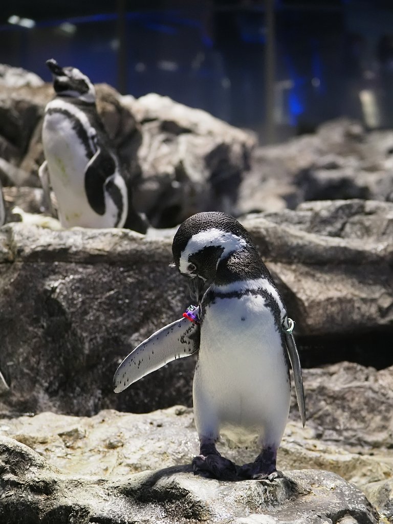 なんか気になる