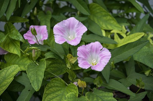8月25日の写真