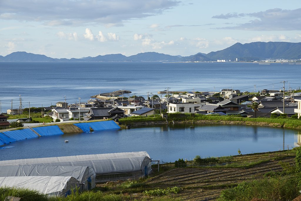 雑感