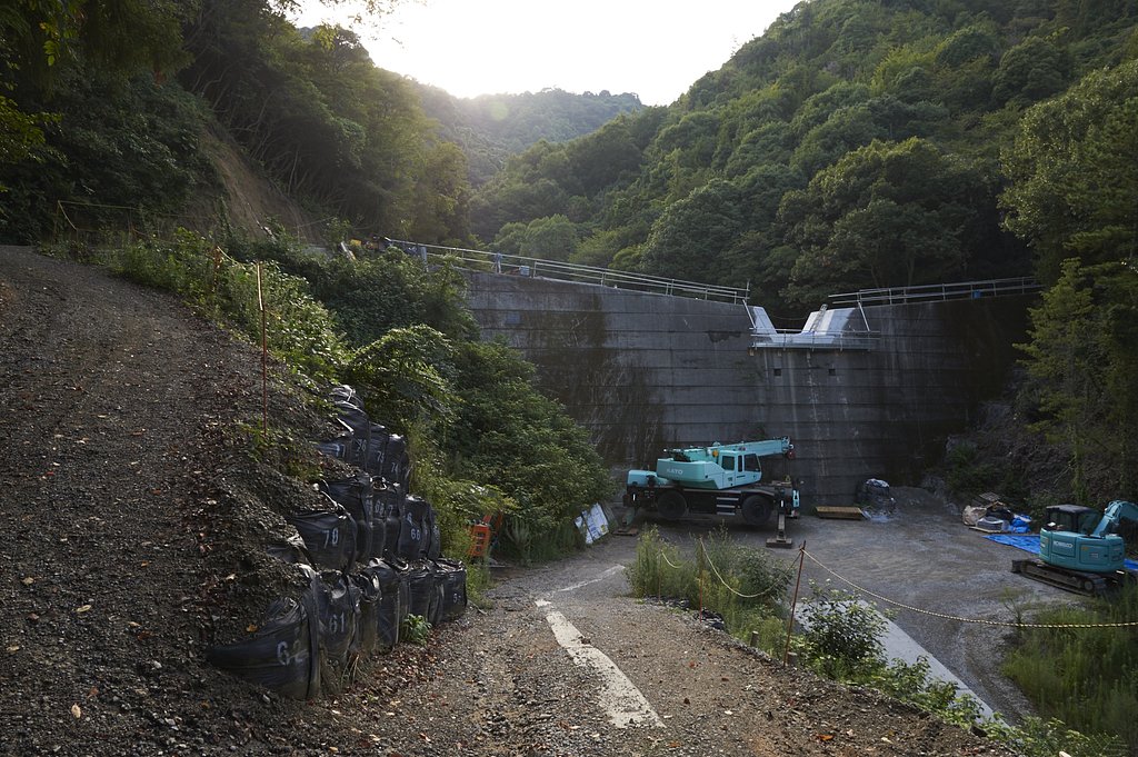 雑感