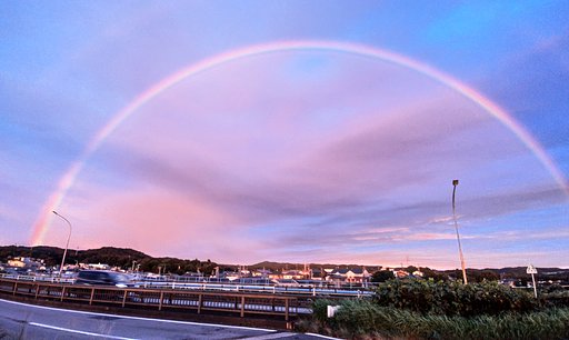 10月5日の写真