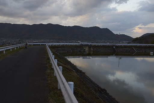 雑感
