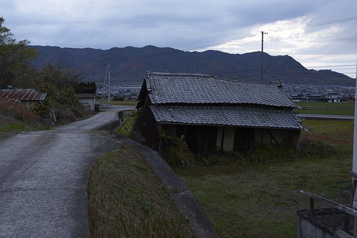 雑感