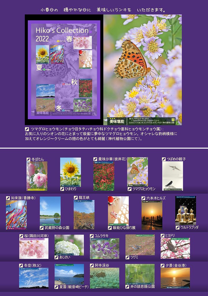 皆さま、良いお年をお迎えください。