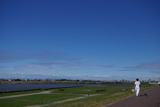 青い空の下で