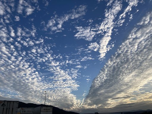 秋雲