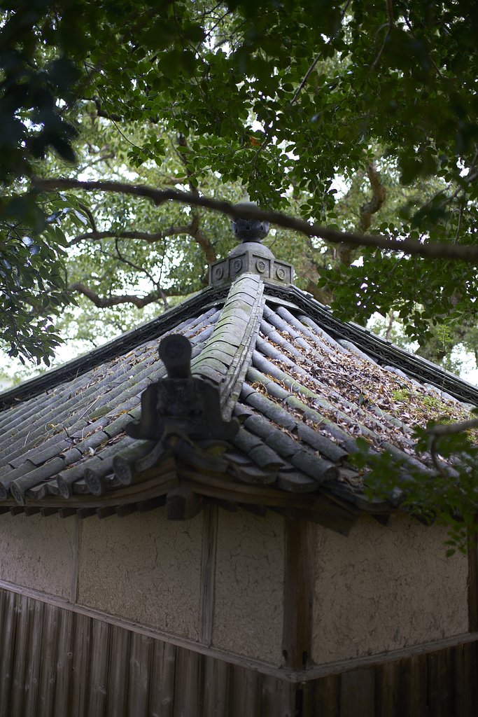 雑感