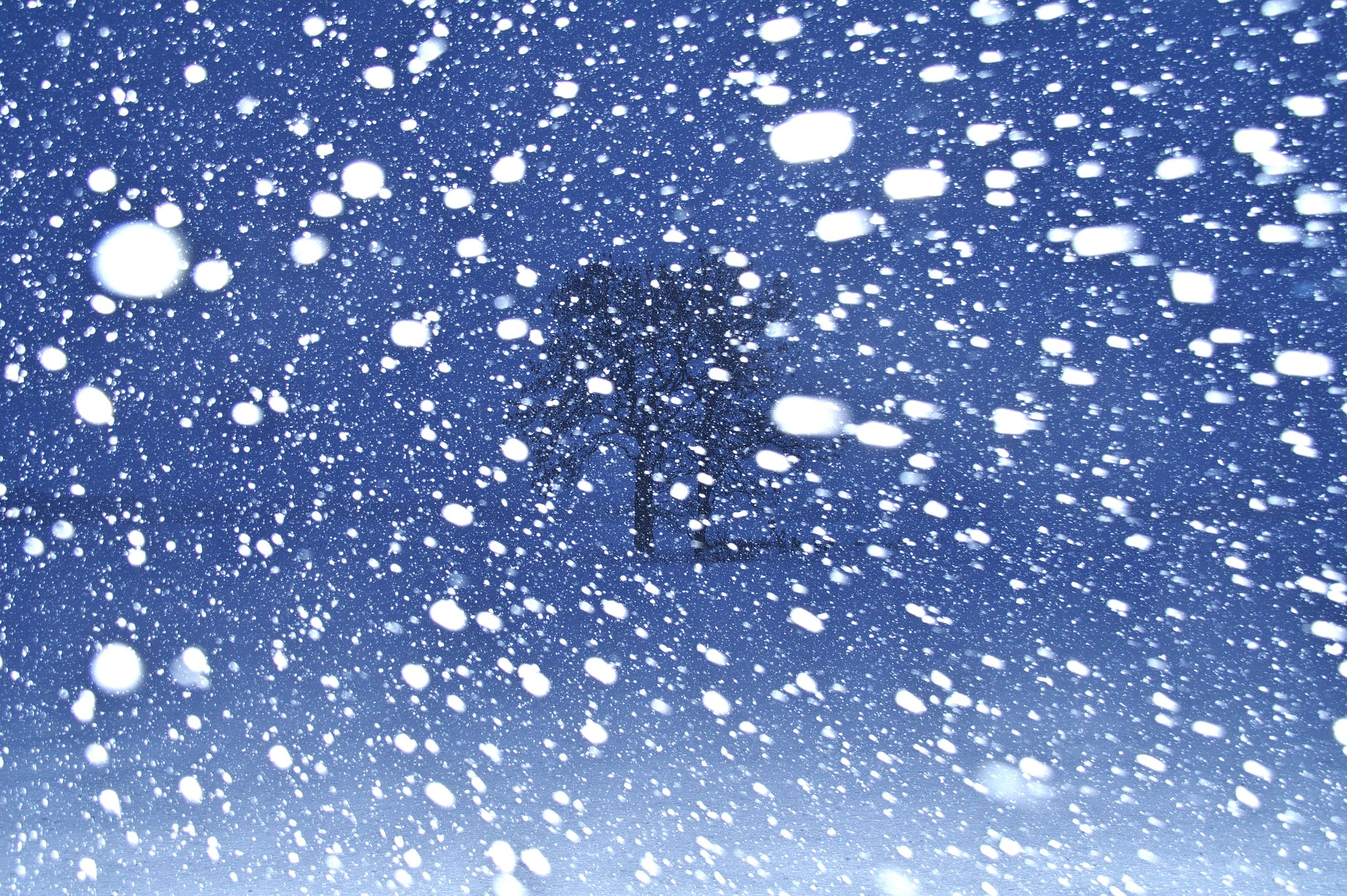 吹雪