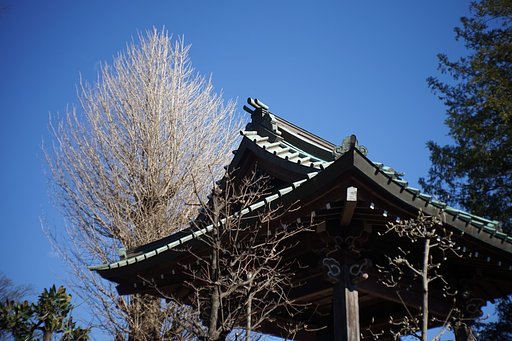 12月30日の写真