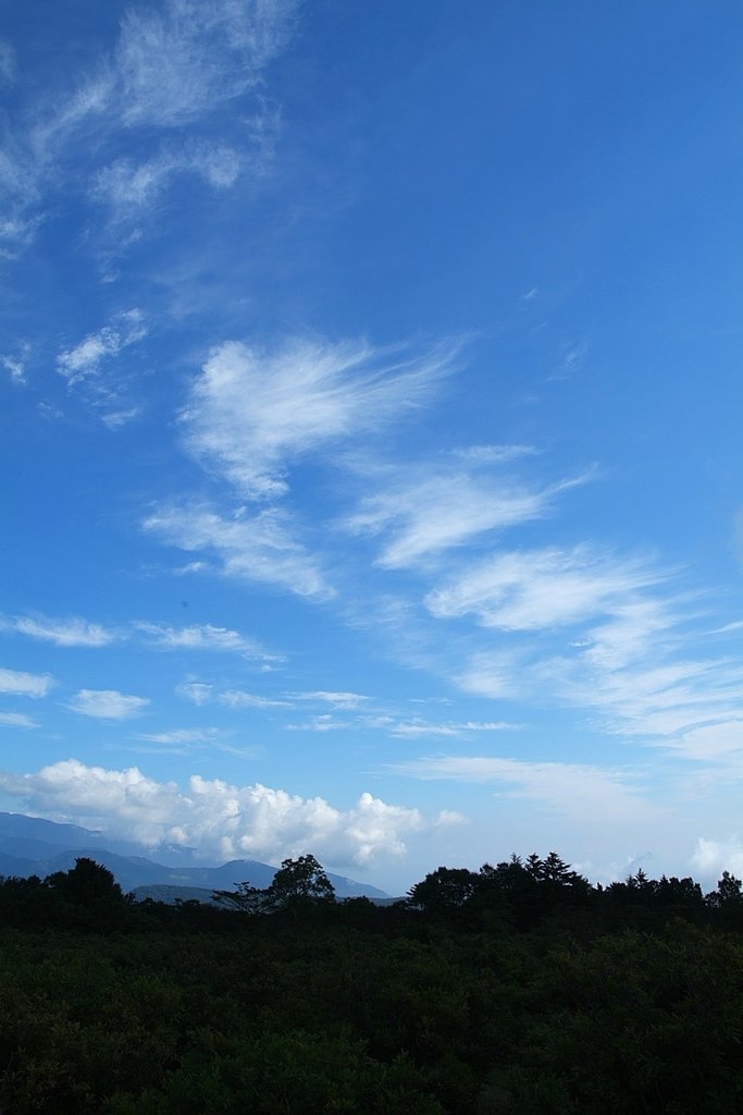 夏の終わりに