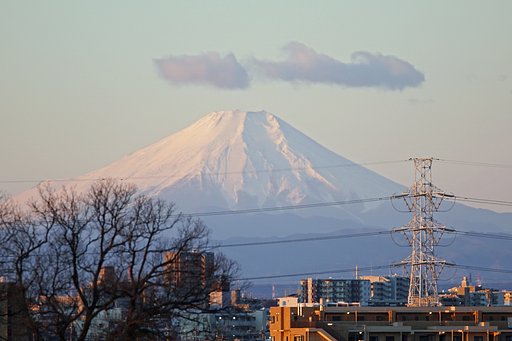 【初撮り】