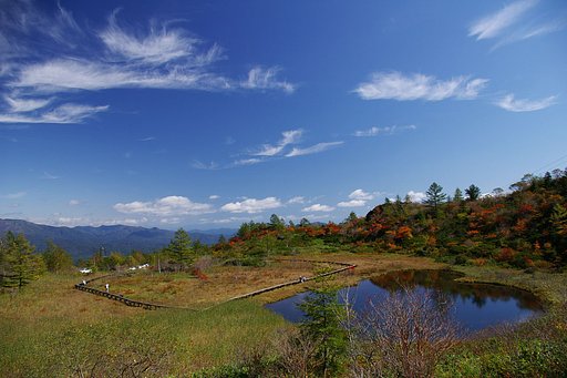 高山の紅葉-草津-#2