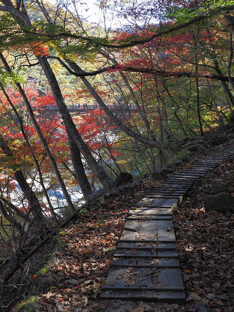 紅葉回廊