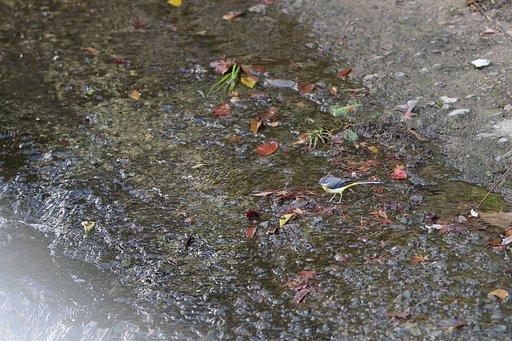 11月27日の写真