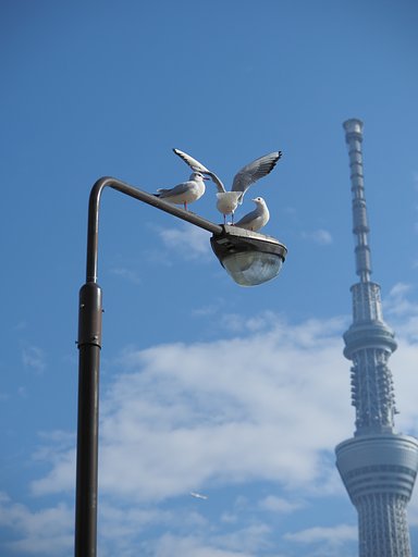 12月11日の写真