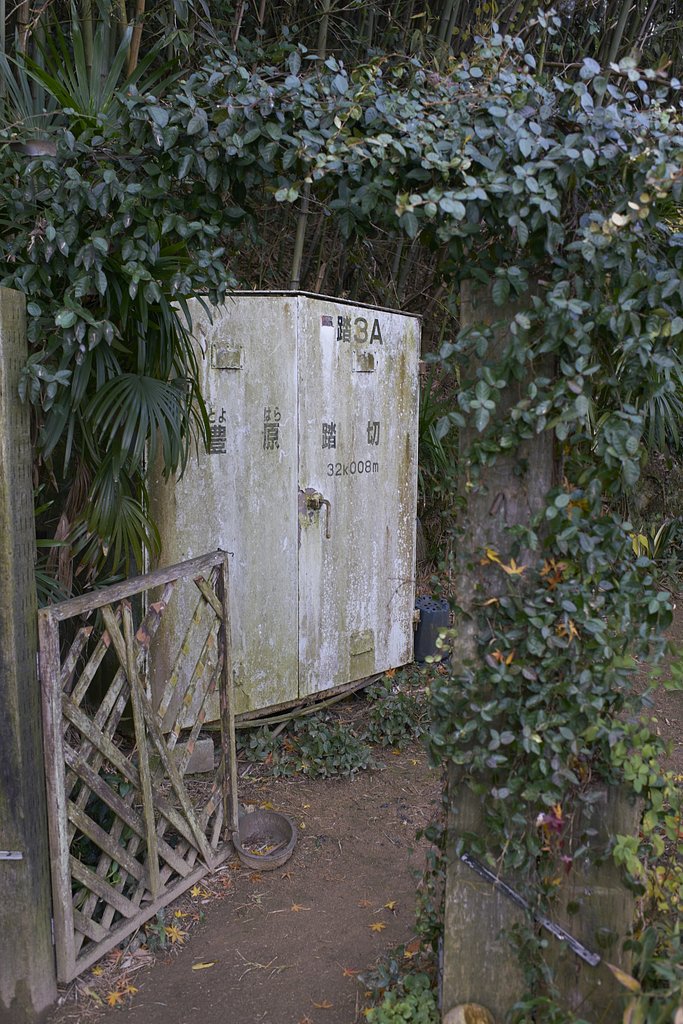 雑感