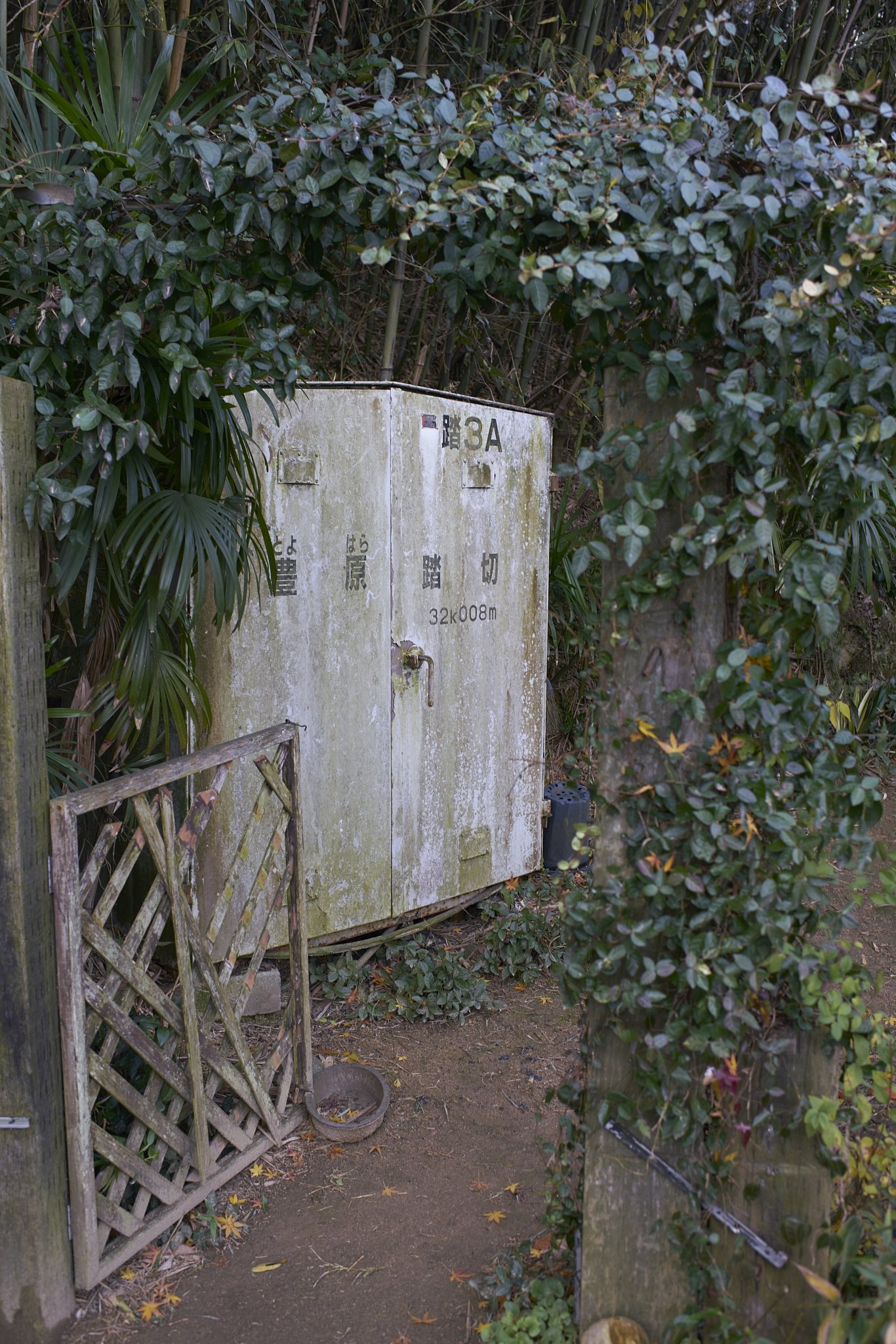 雑感