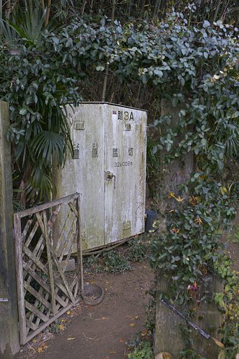 雑感