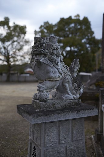雑感