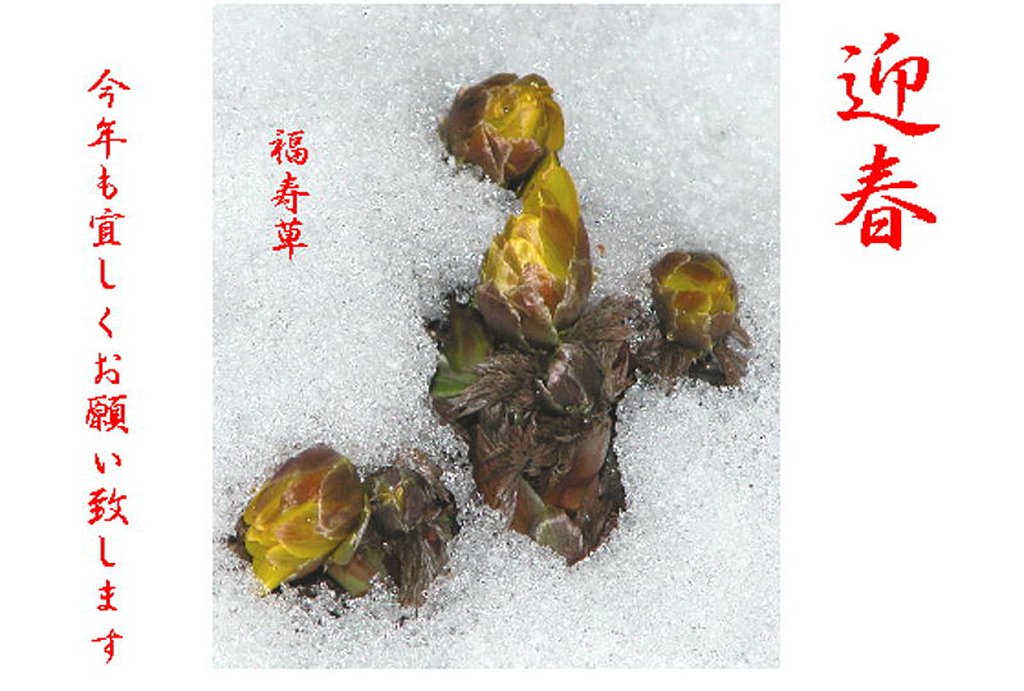謹賀新年