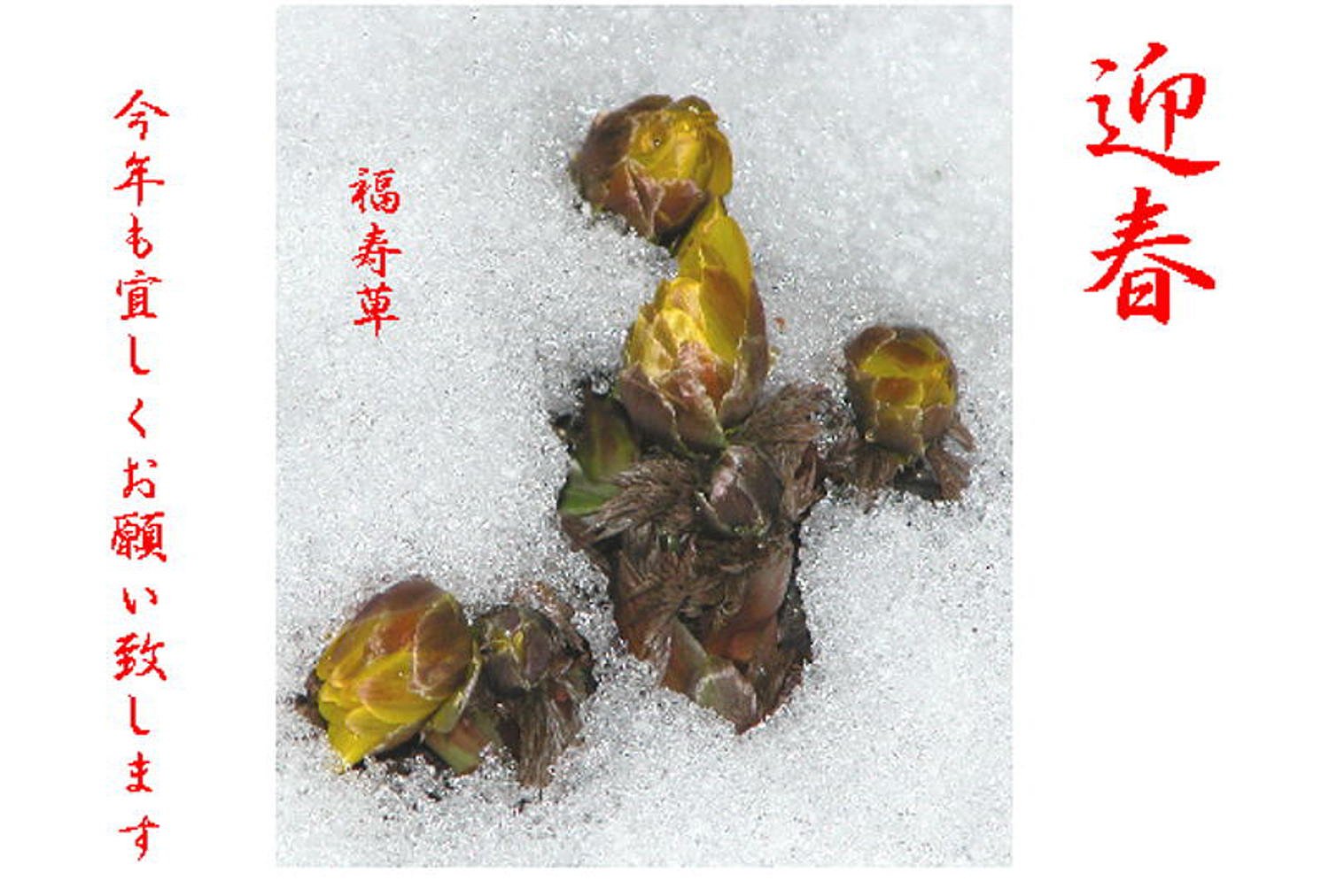 謹賀新年