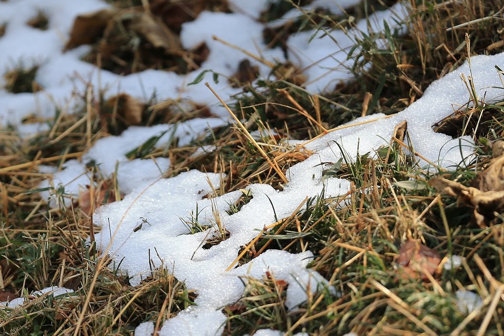 【春の予感】雪融け