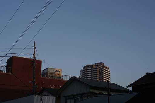 早朝散歩