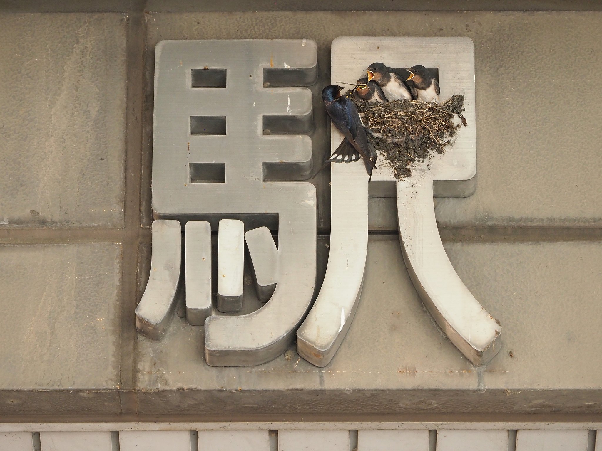 順番だよ。