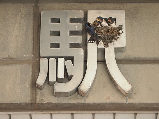 順番だよ。