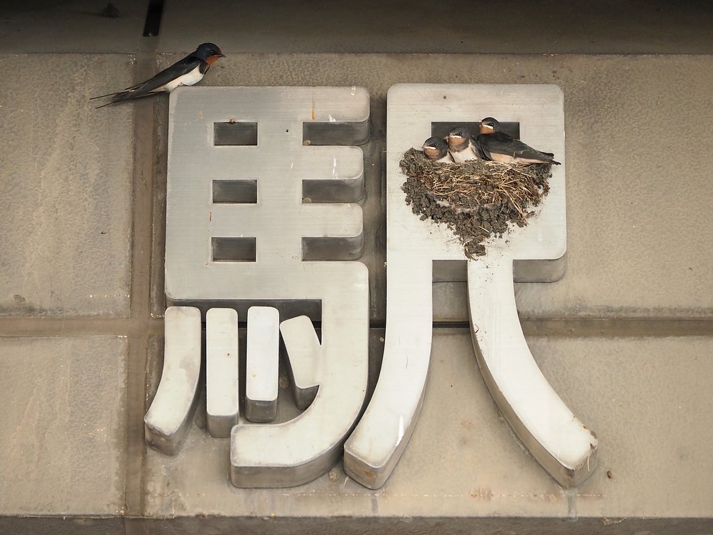 順番・・・だよね。