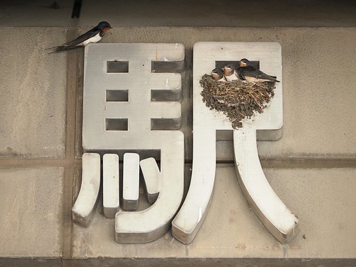 順番・・・だよね。