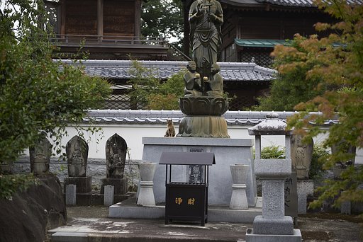 雑感