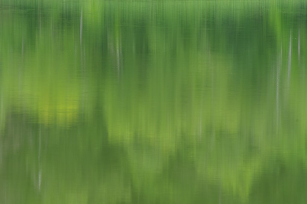 緑の水面
