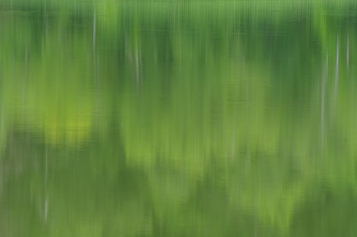緑の水面