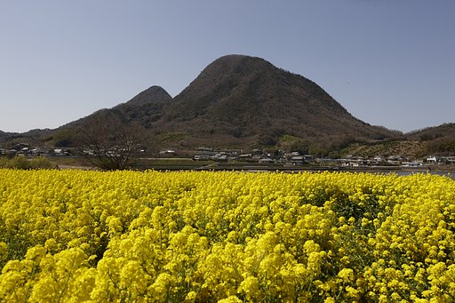雑感