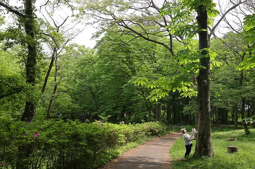 【初夏】無理だって、セミじゃないんだから