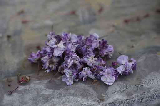 藤花