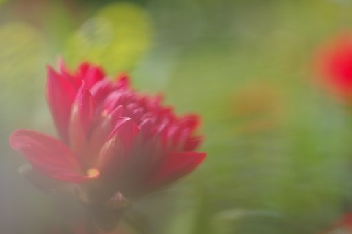 公園で