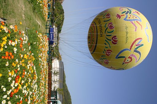 花とバルーン
