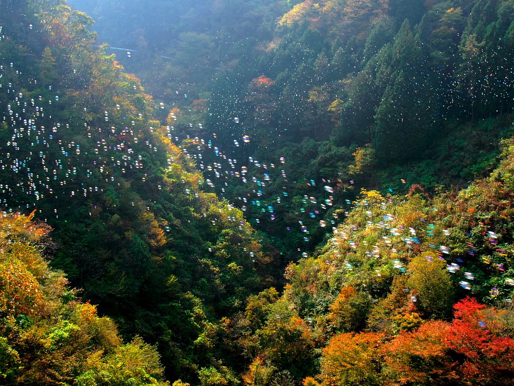 シャボン玉