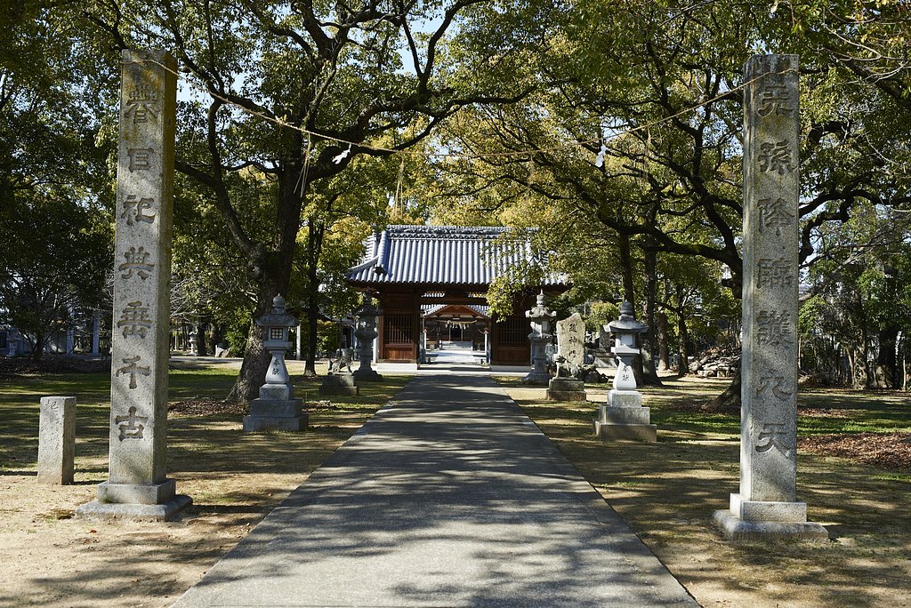 雑