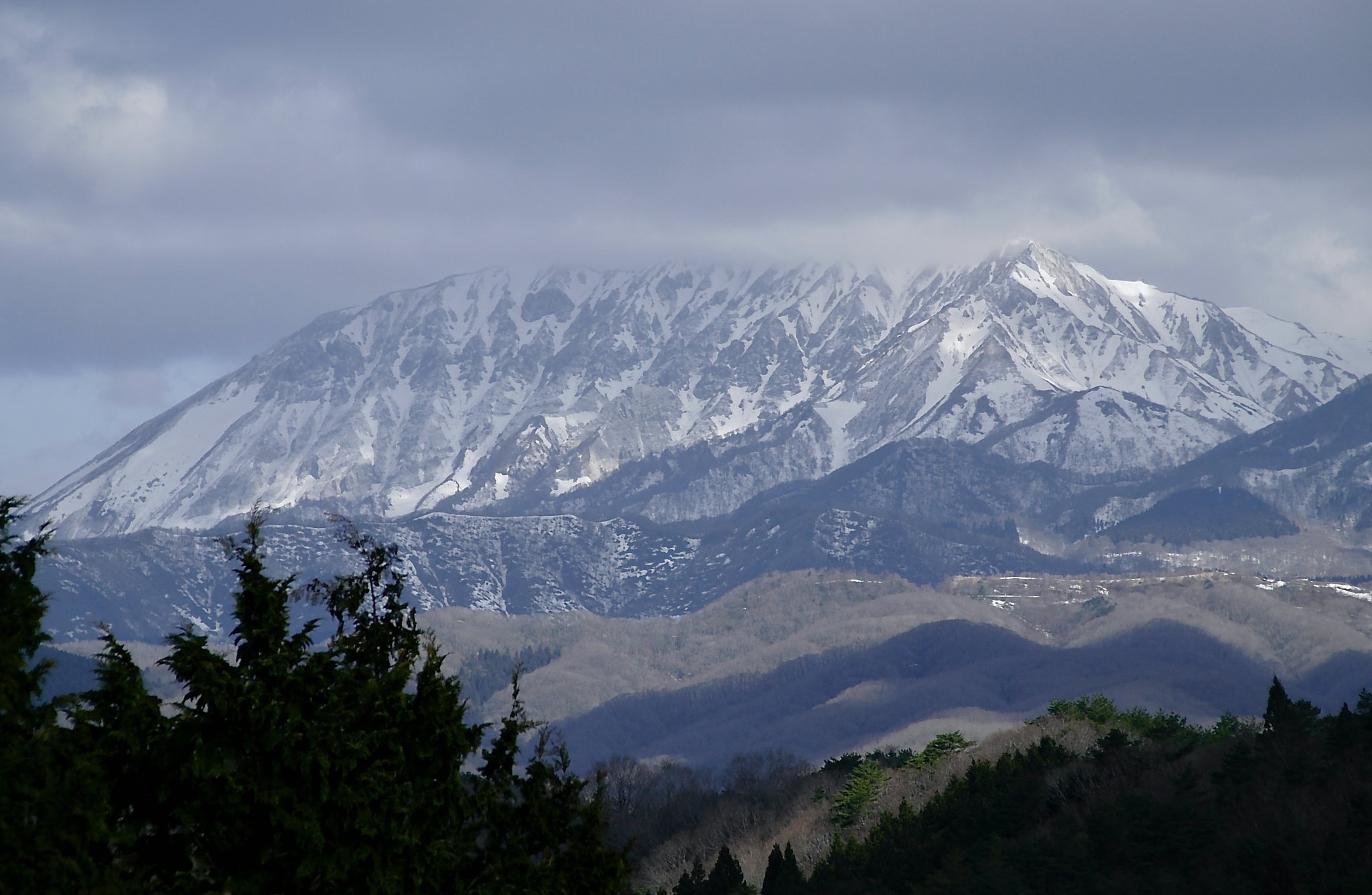 残雪