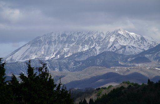残雪