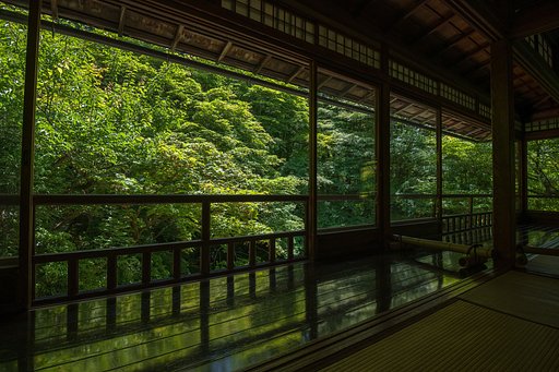 瑠璃光院の初夏