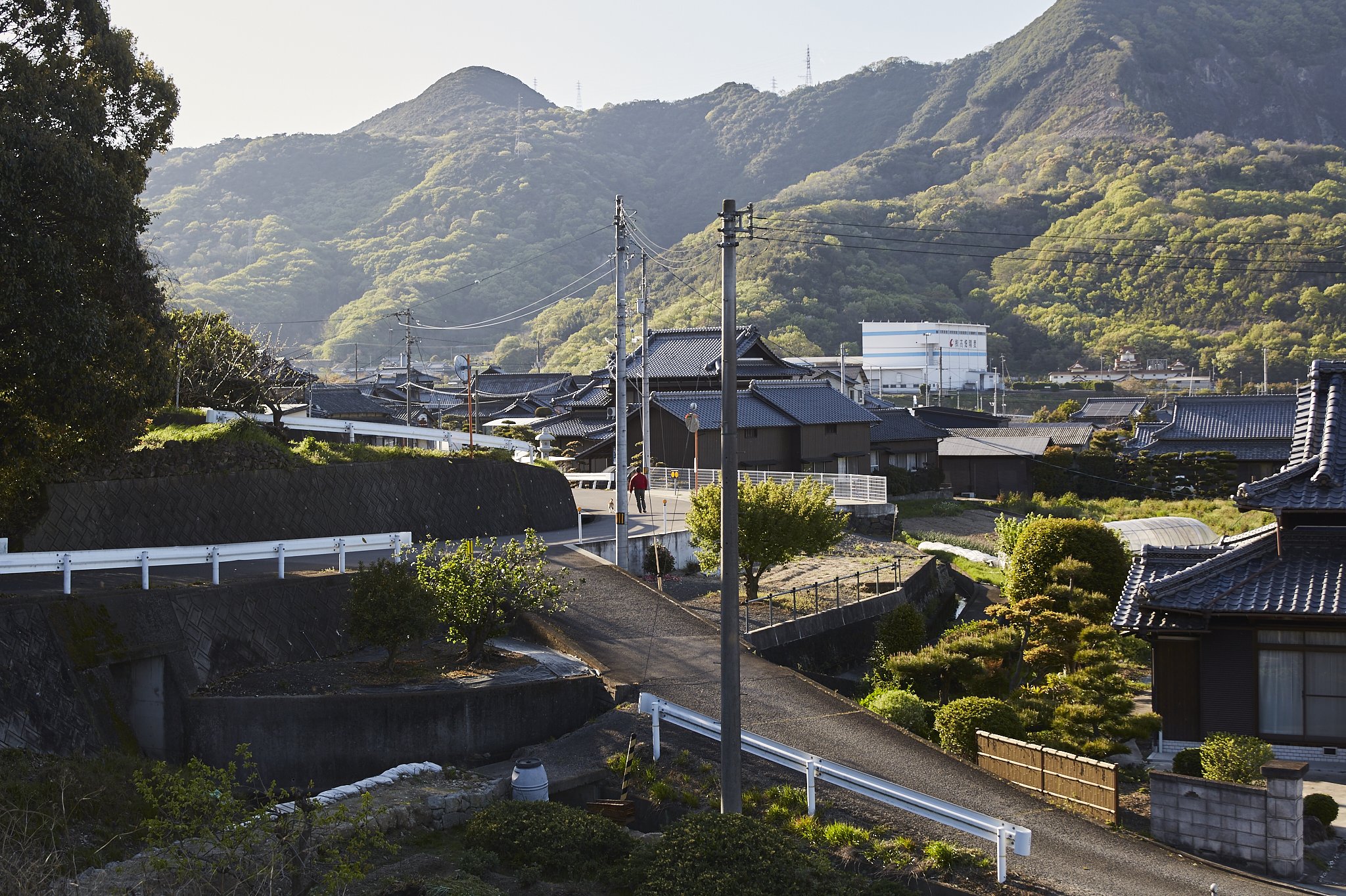 雑感