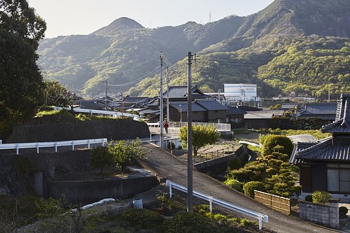 雑感